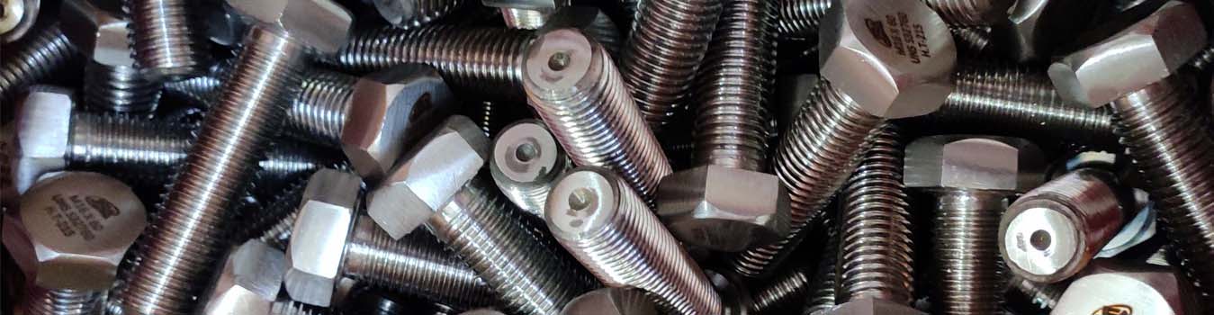 SS 317 Nut Bolt Manufacturers