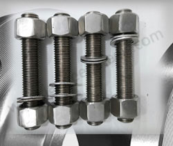 SS 317 Nut Bolt