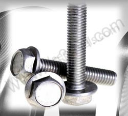 SS 347 Nut Bolt