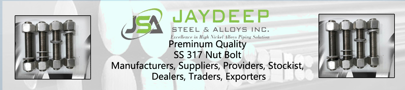 SS 317 Nut Bolt Dealers